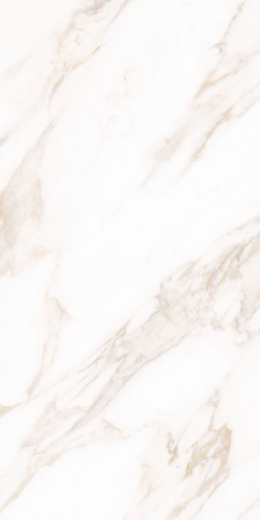 Classy Warm White Matte 24 x 48